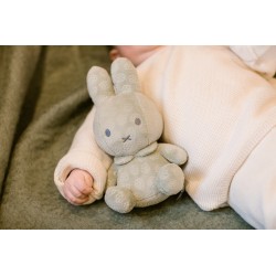 Lot peluches Miffy Flower Vert