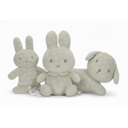 Lot peluches Miffy Flower Vert