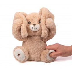 Peluche Justin coucou et comptine