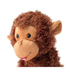 Coco the cracking monkey