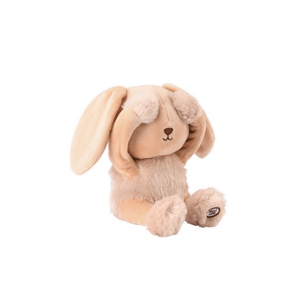 Disney Panpan le lapin Peluche interactive Coucou Caché