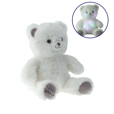 grand-gaston-ours-lumineux