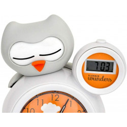 Alarm clock indicator - Olly