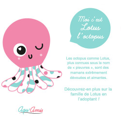 Veilleuse musicale Lotus L'Octopus - 25cm