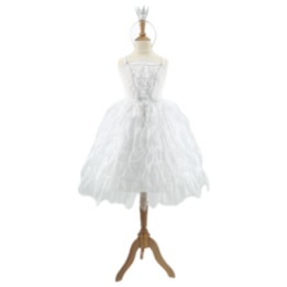 Robe Lac des Cygnes  Blanche 5-7 ans