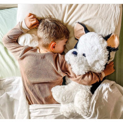 Gaspard the fox 50cm