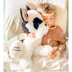 Gaspard the fox 50cm