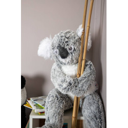 Peluche Géante Koda le koala - 70 cm