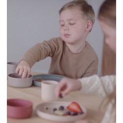 Dantoy - Set de 2 assiettes pour enfants BIOPLASTIQUE - Couleurs Taupe et Verte