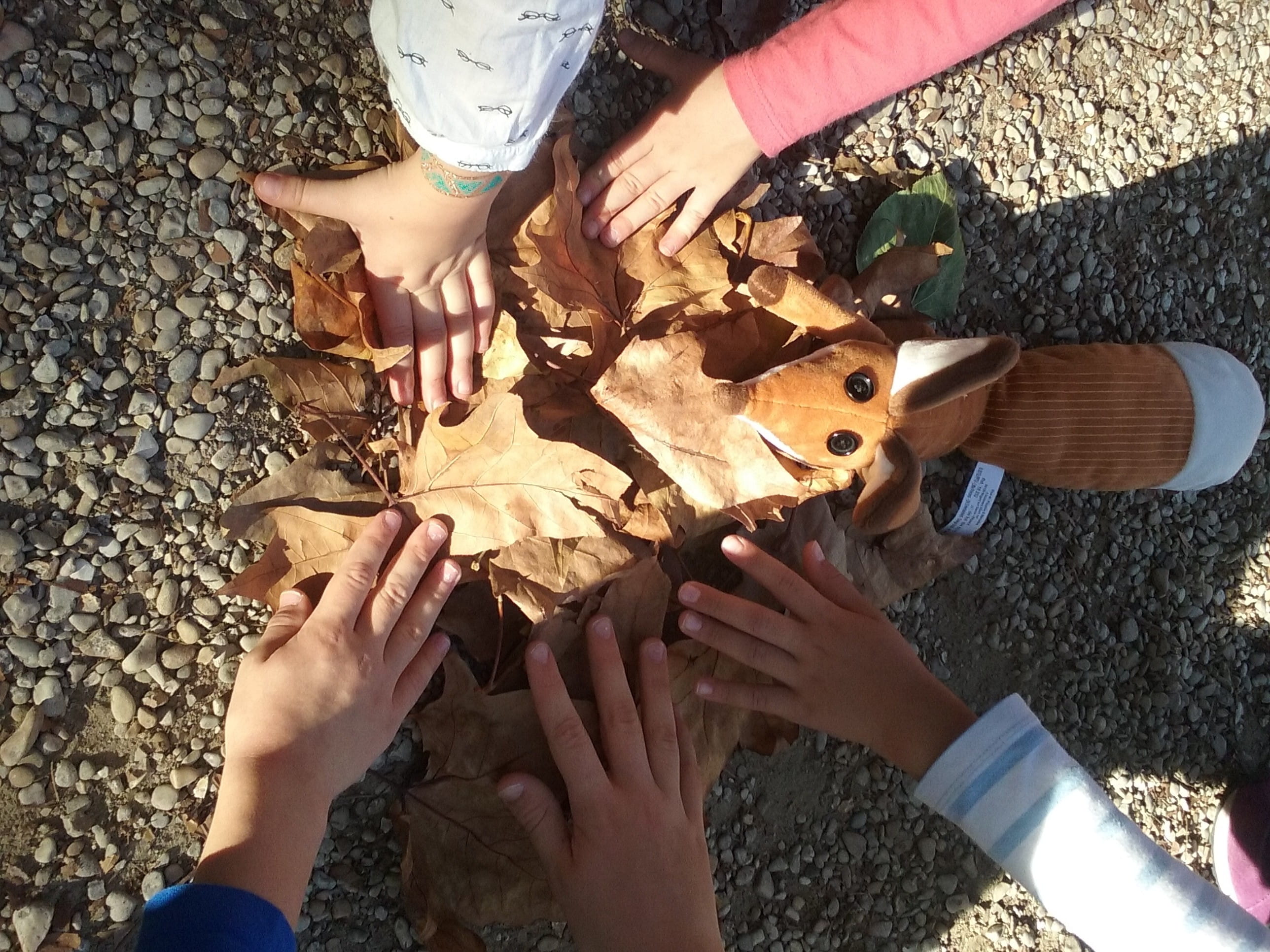 3 activités faciles avec les marrons d’Automne