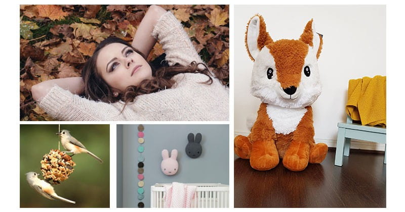 Bonjour l'Automne - nouvelle saison, nouveau rythme