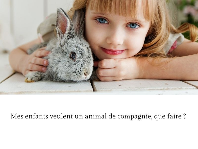 Mes enfants veulent un animal de compagnie, que faire ?